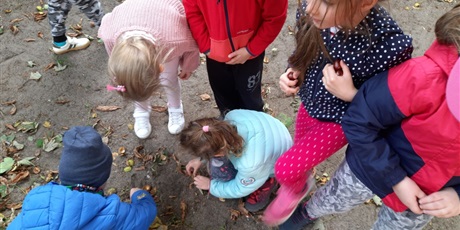 Powiększ grafikę: Dzieci z grupy Słoneczka zbieraja kasztany w ogrodzie przedszkolnym.