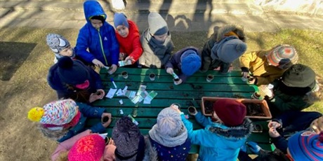 Powiększ grafikę: Dzieci z grupy Słoneczek stoją przy stole w ogrodzie przedszkolnym wysiewają nasiona do doniczek. Na stole doniczki z ziemią i nasionka.