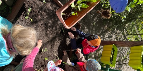 Powiększ grafikę: Dzieci z grupy Słoneczek sadzą rośliny do skrzynek w ogrodzie przedszkolnym.
